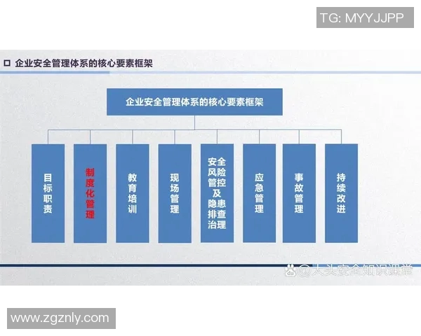 《基于规则制定的创新管理模式及其在企业发展的应用研究》