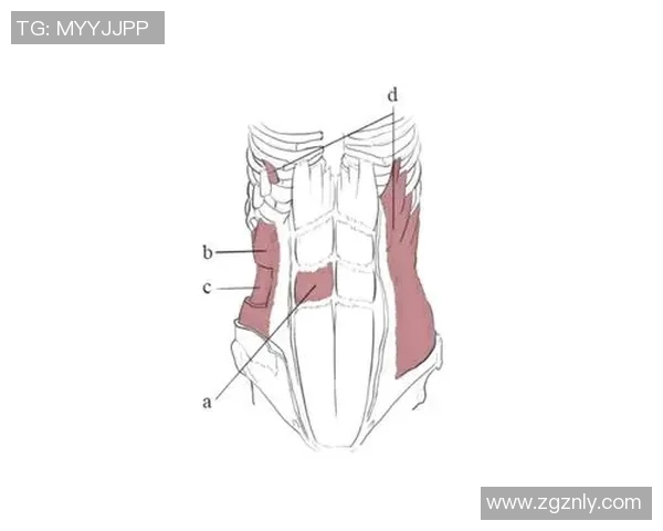 自由泳技术提高计划：从基础动作到高效训练的全面指南